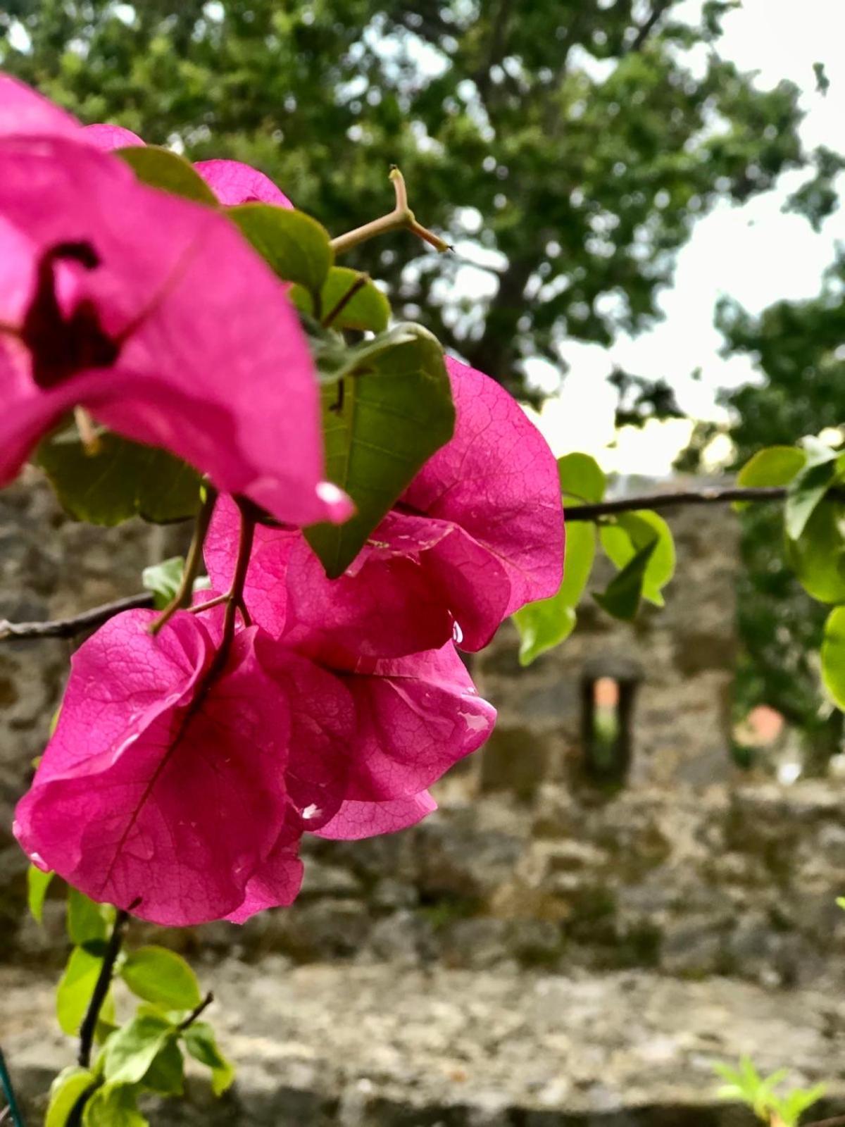 Sideroporta Castle Nafpaktos Pensionat Eksteriør billede
